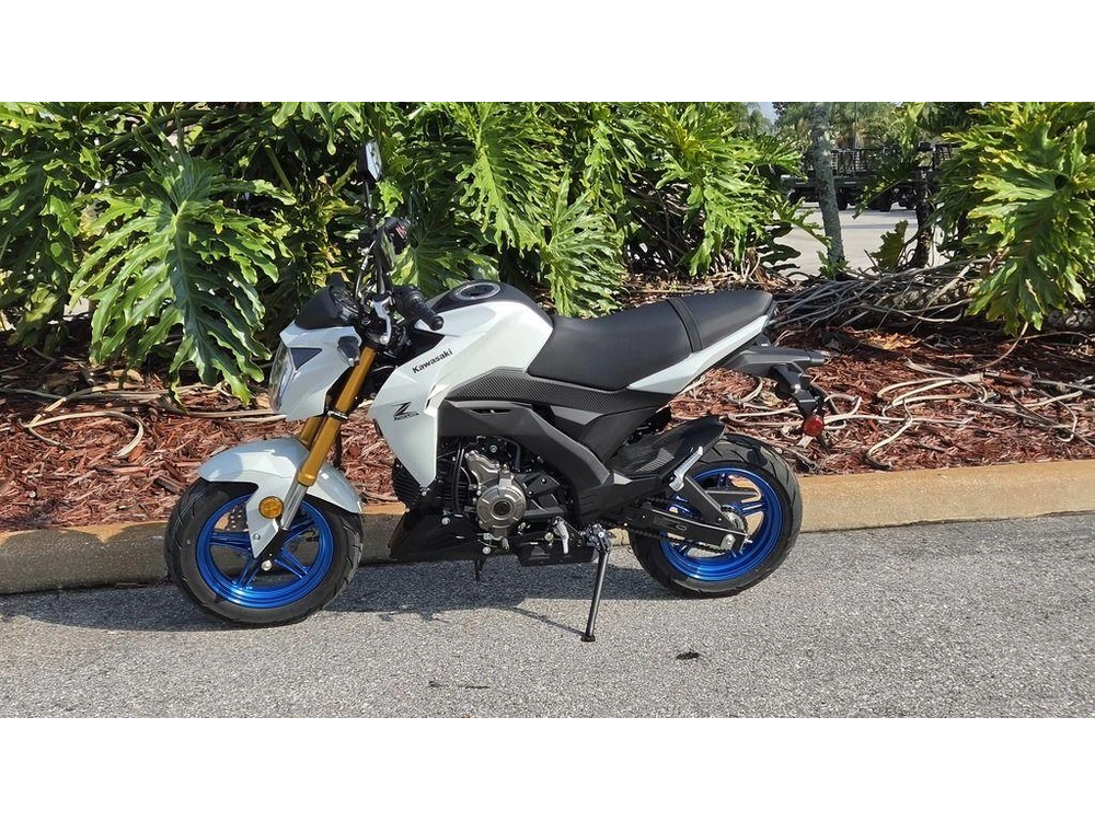 2026 Kawasaki Z125 Pro