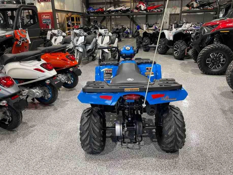 Polaris Sportsman 110 Efi 2024
