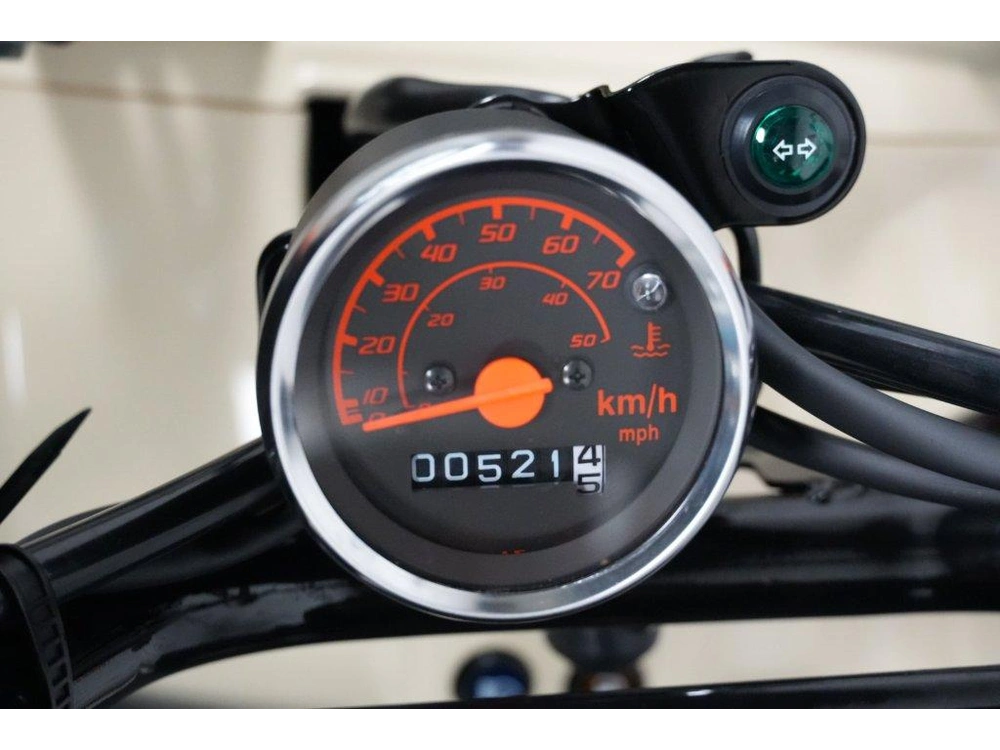Honda Ruckus Demo 2024