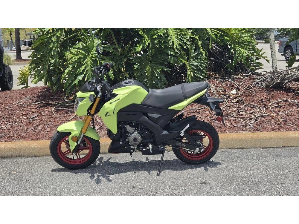 2026 Kawasaki Z125 Pro