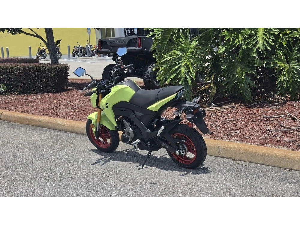 2026 Kawasaki Z125 Pro