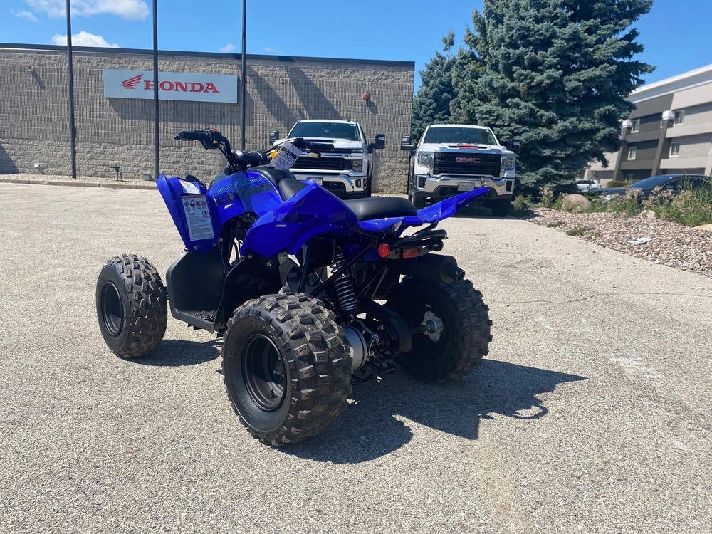 2026 Yamaha Raptor 110