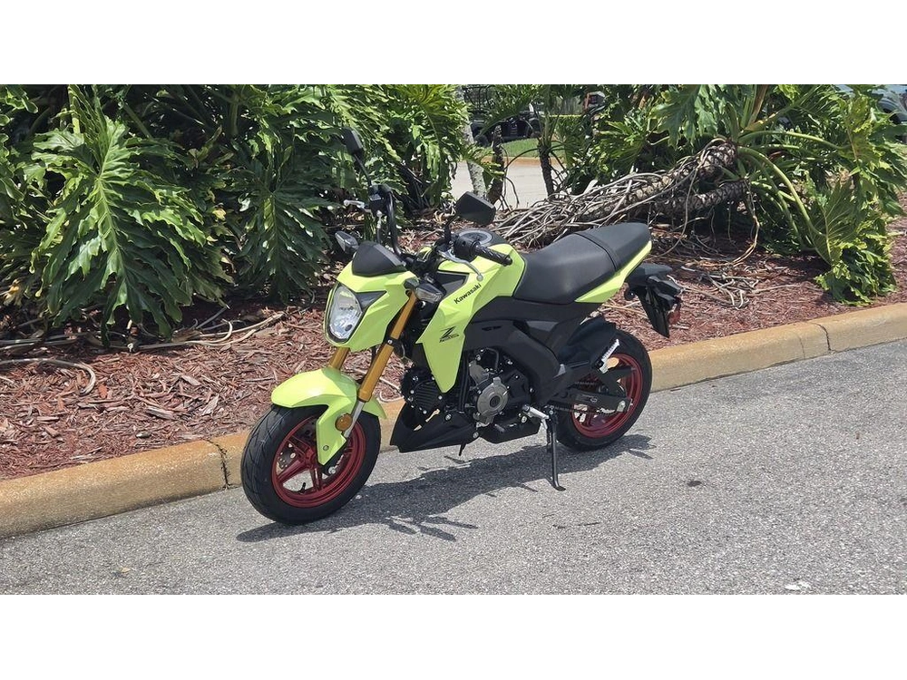 2026 Kawasaki Z125 Pro