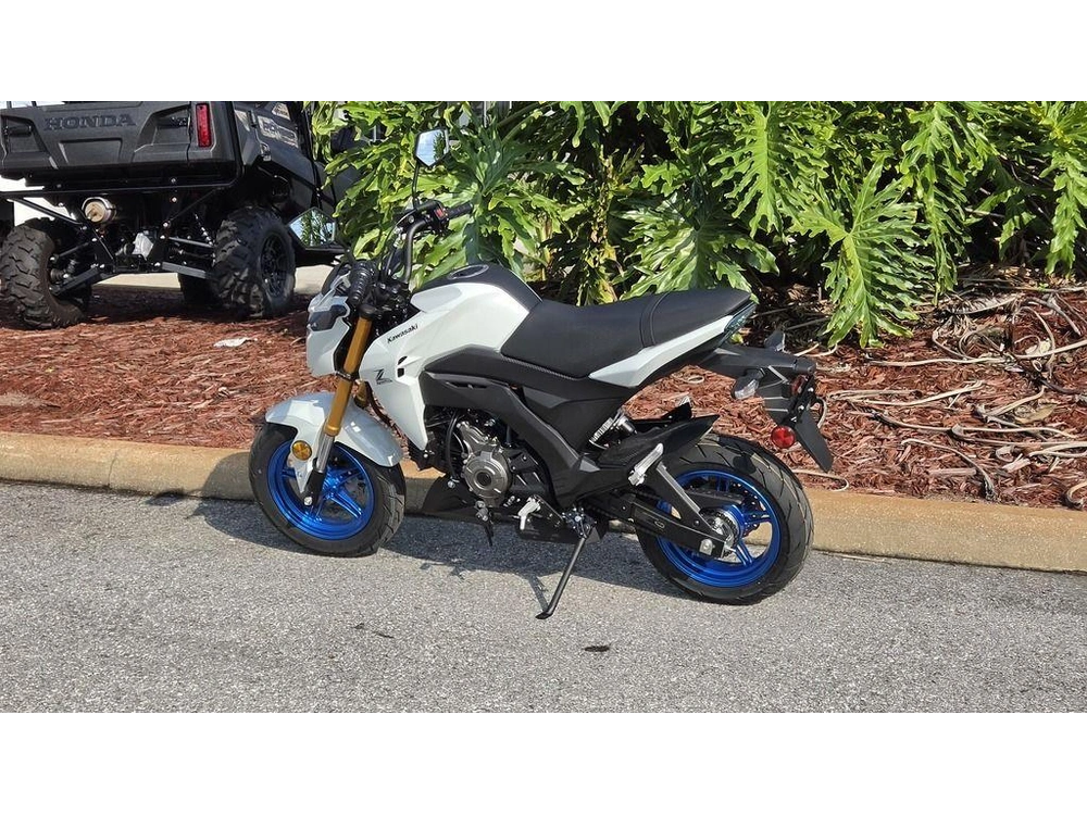2026 Kawasaki Z125 Pro