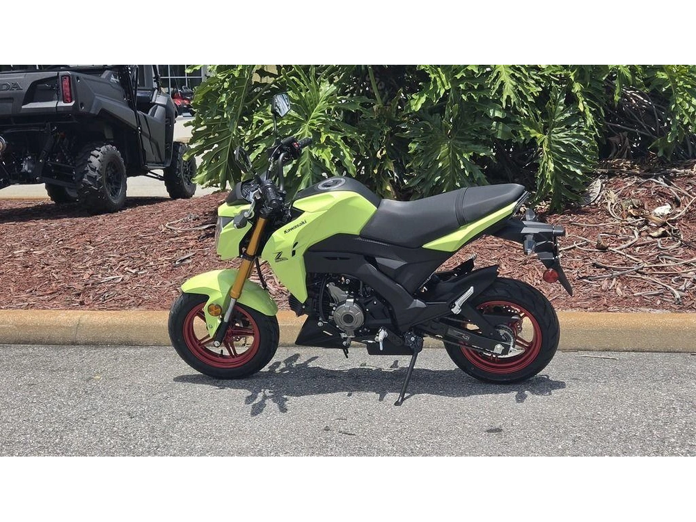 2026 Kawasaki Z125 Pro