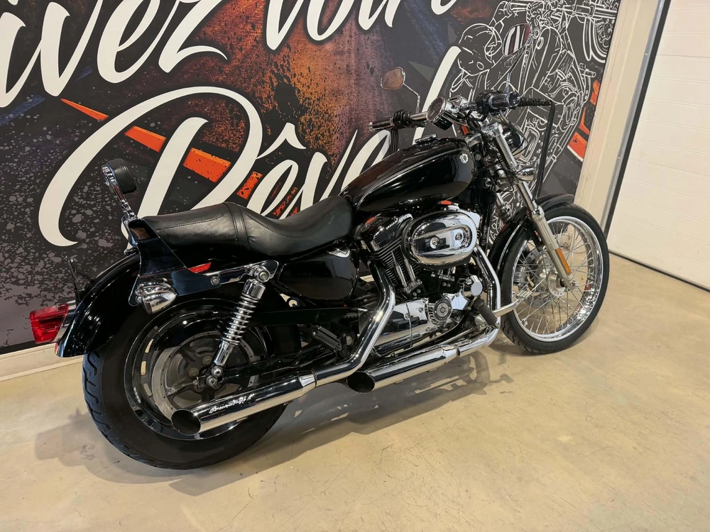 Harley-davidson 1200 Custom 2004