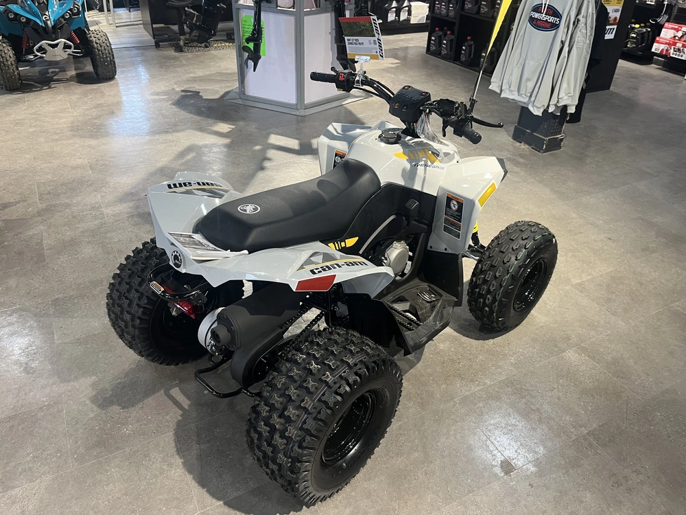 2026 Can-am Renegade 110 Efi