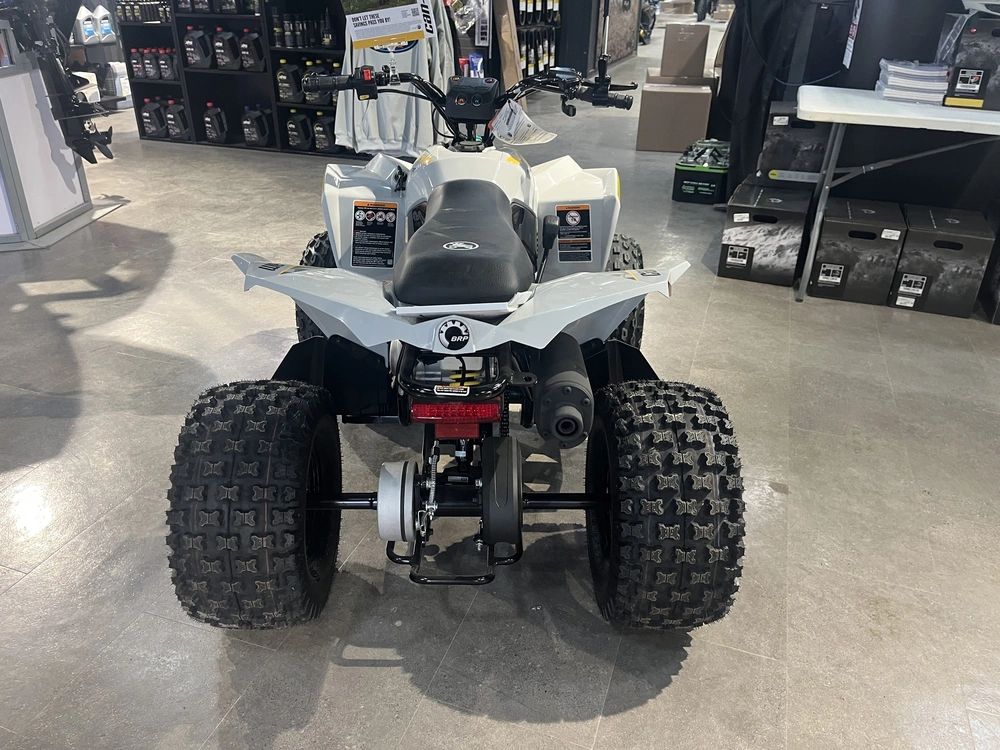 2026 Can-am Renegade 110 Efi