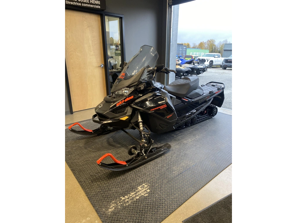 Ski-doo Renegade Enduro 900 Ace 2019
