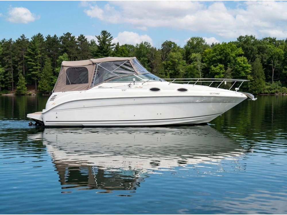 1999 Sea Ray Sundancer 260