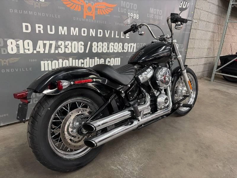 Harley-davidson Fxst Softail Standard 2021