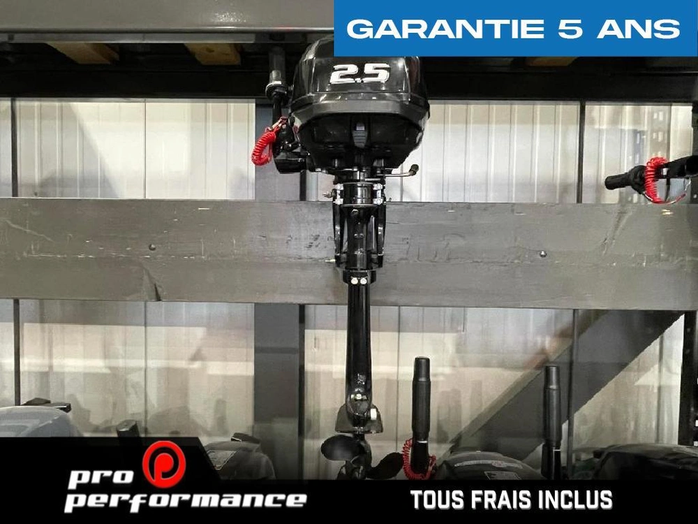 Suzuki Moteur Hors-bord Df2.5s 2022