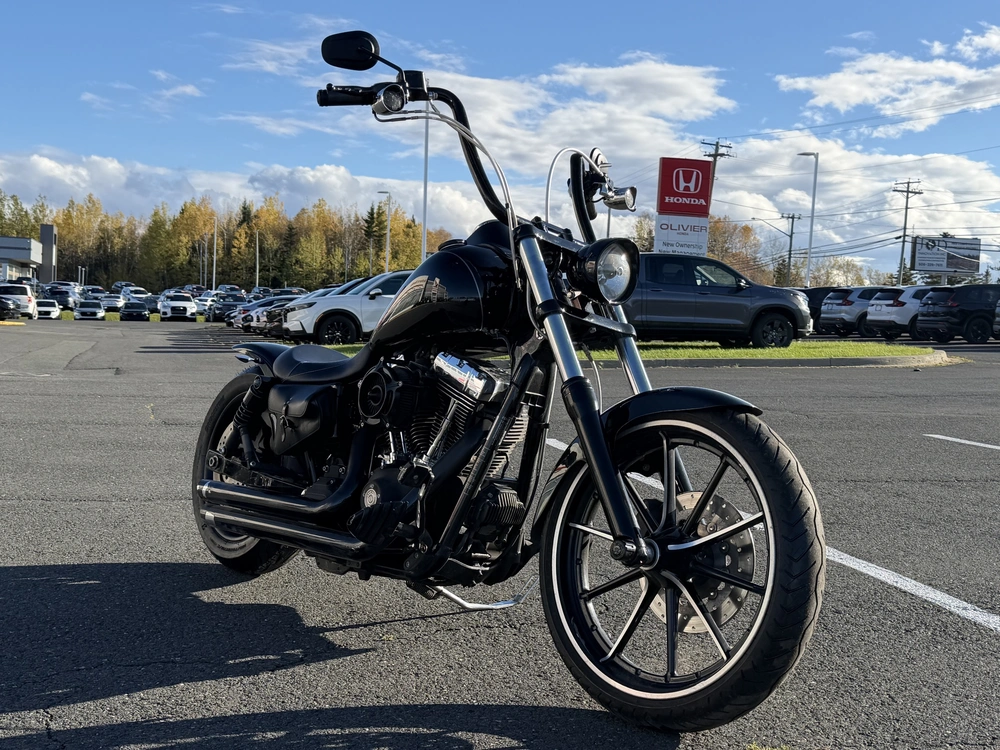 2010 Harley-davidson Fxdwg Dyna Wide Glide