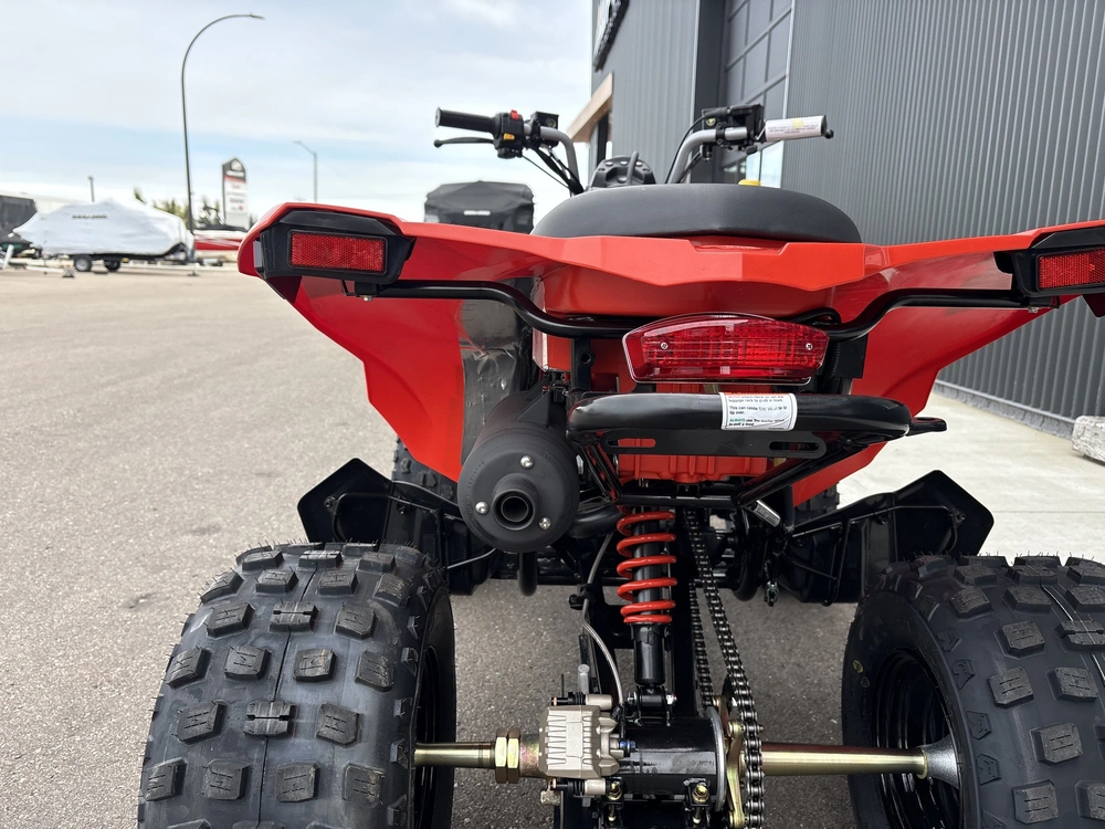 2027 Can-am Ds 250 3jva