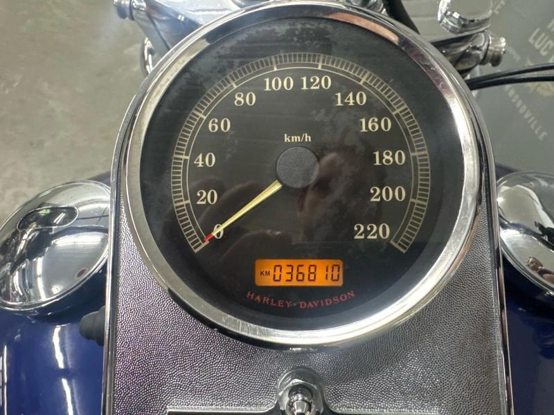 Harley-davidson Fxst Softail Custom 2007