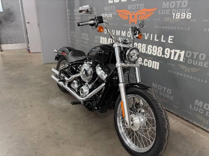 Harley-davidson Fxst Softail Standard 2021