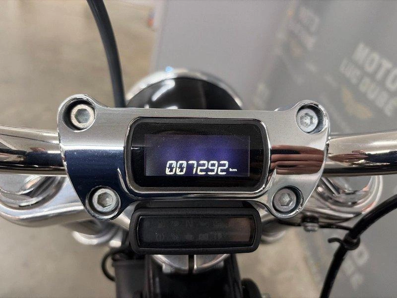 Harley-davidson Fxst Softail Standard 2021