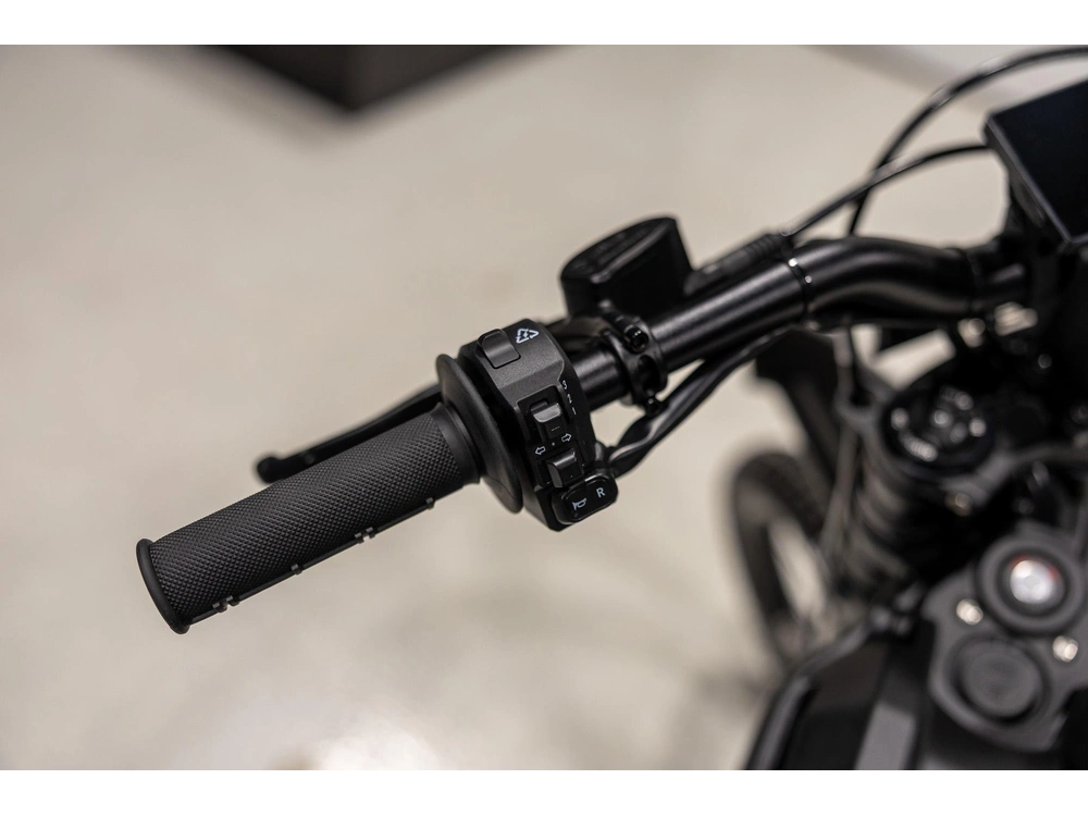 2027 E Ride Pro Pro4.0 2027vi Fatty Seat Bike