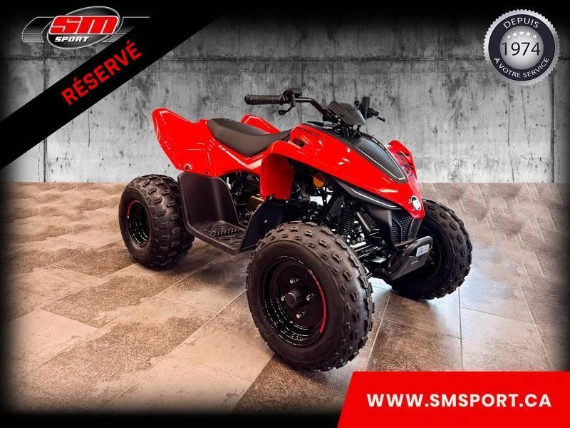 Cfmoto Cforce 110 Classic 2026
