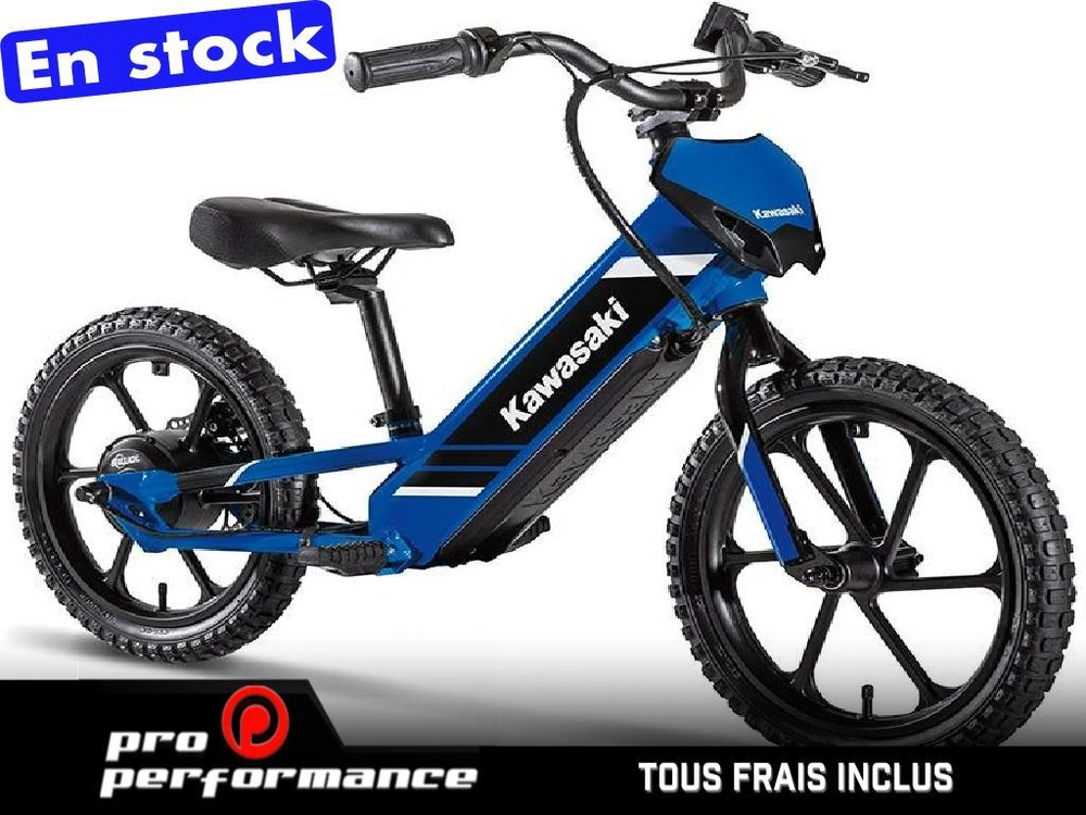 2027 Kawasaki Elektrode 17