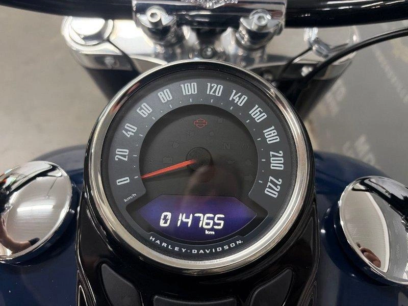 Harley-davidson Flsl Softail Slim 2019