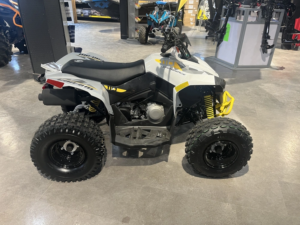 2026 Can-am Renegade 110 Efi