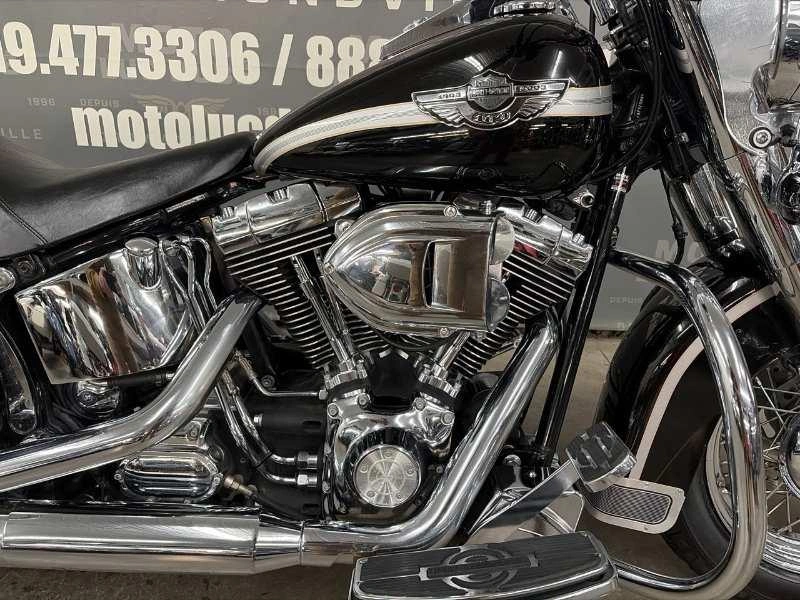 Harley-davidson Flstc 2003