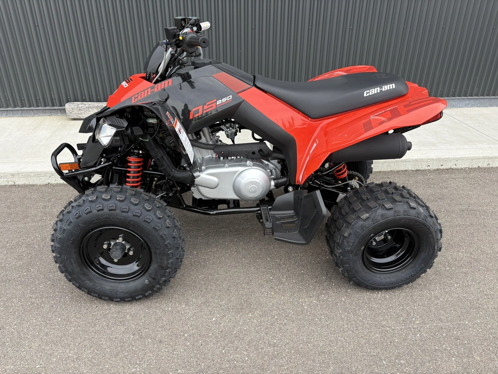 2027 Can-am Ds 250 3jva