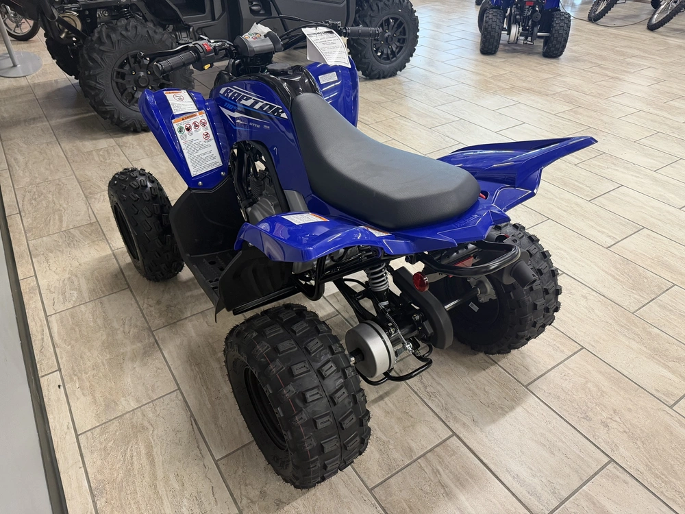 2026 Yamaha Raptor 110