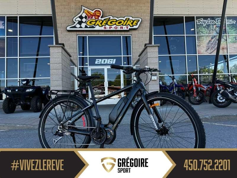 Devinci E-cartier E6100 M 2024
