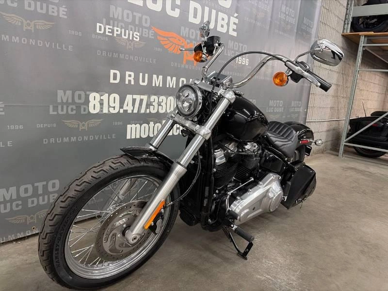 Harley-davidson Fxst Softail Standard 2021