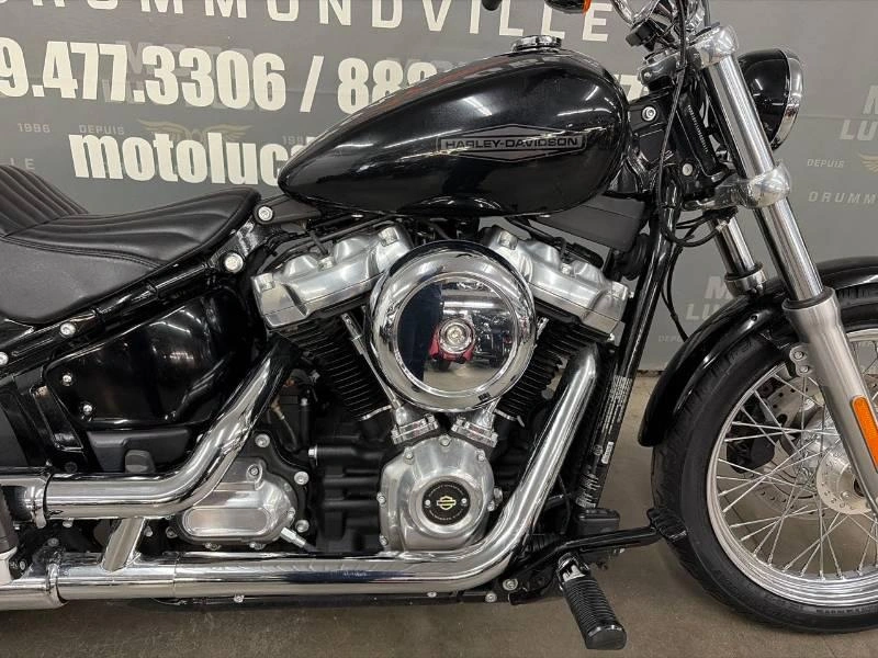 Harley-davidson Fxst Softail Standard 2021