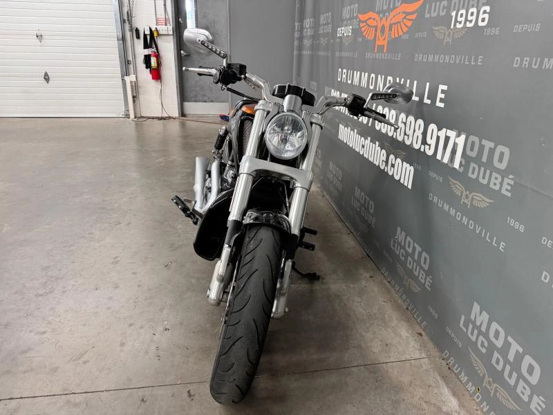 Harley-davidson Vrscf V-rod Muscle 2014