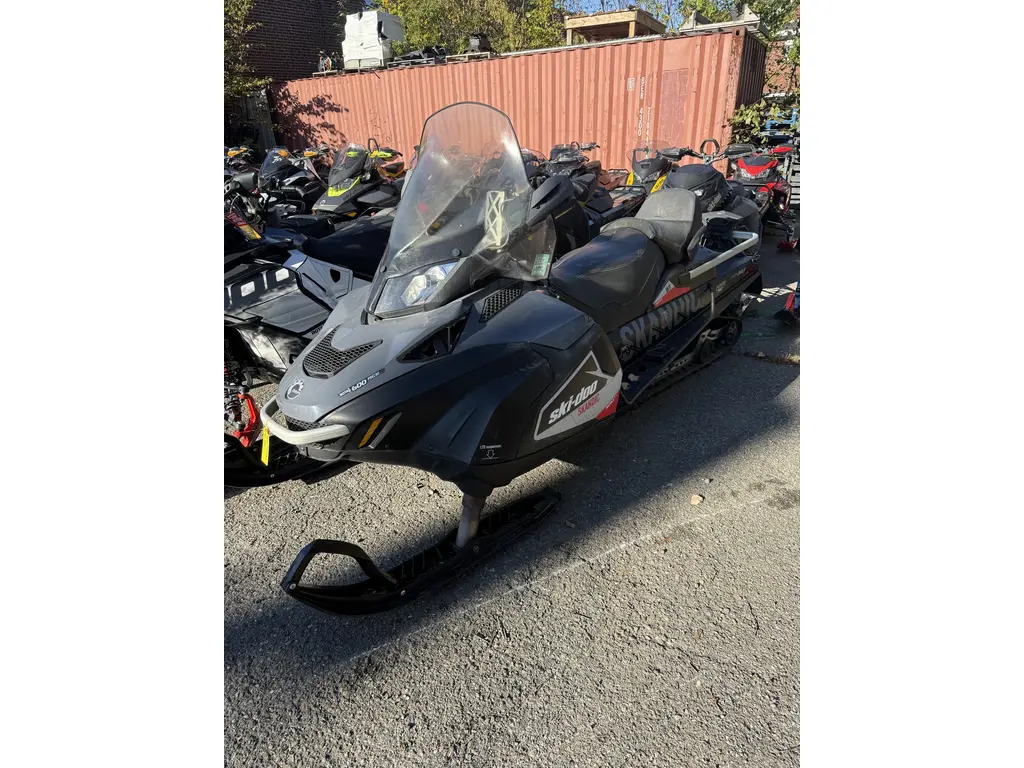 2015 Ski-Doo SKANDIC 600 ACE