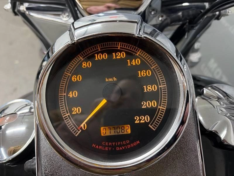 Harley-davidson Flstc 2003