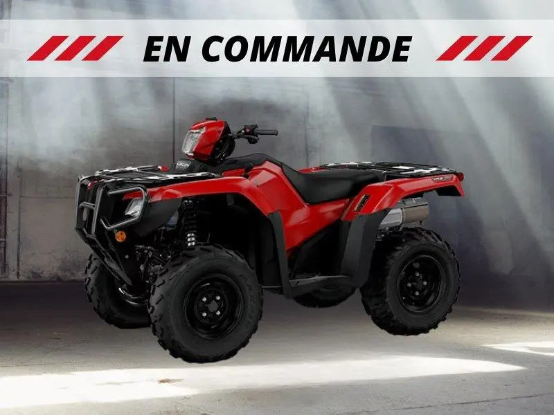 Honda Rubicon 520 Dct Irs Eps 2027