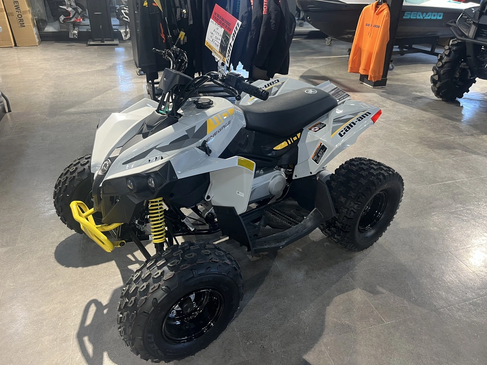 2026 Can-am Renegade 110 Efi