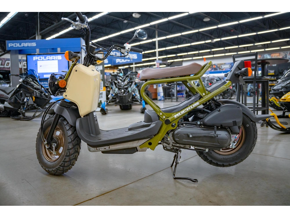 2024 Honda Ruckus