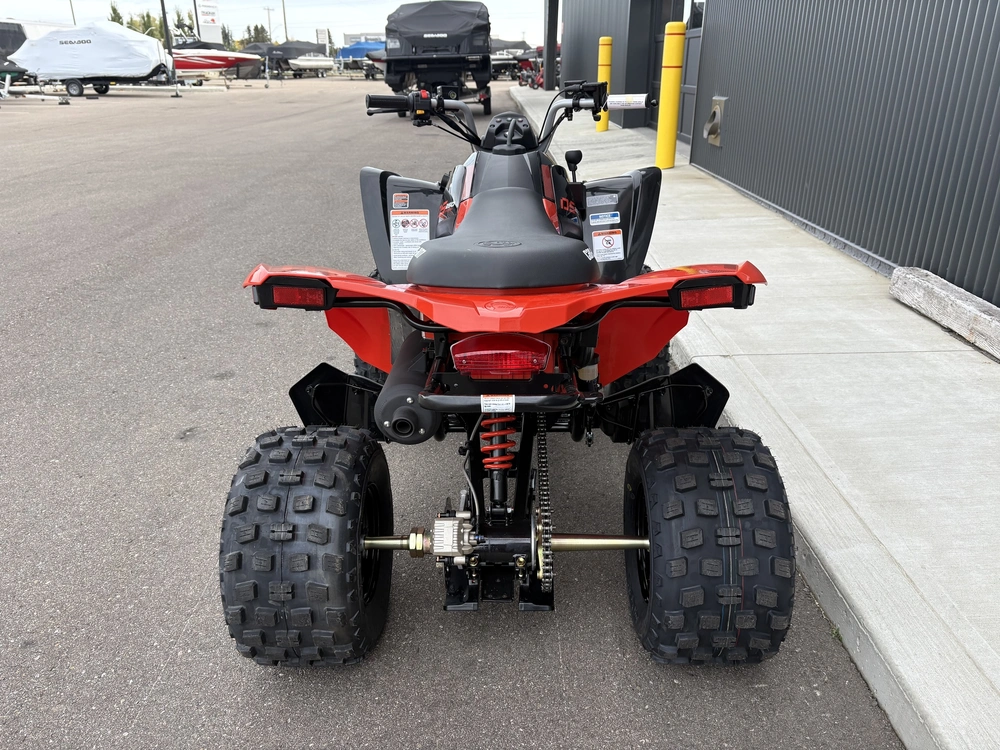 2027 Can-am Ds 250 3jva