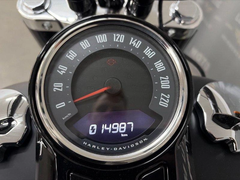 Harley-davidson Flsl Softail Slim 2019
