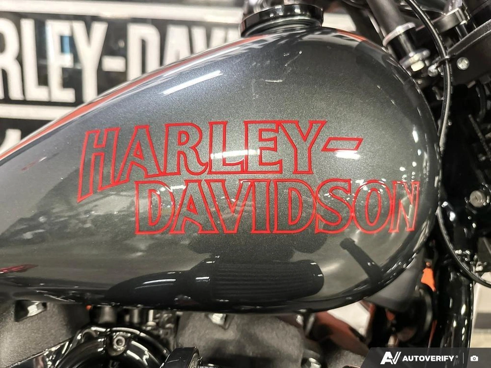 2025 Harley-davidson Low Rider S