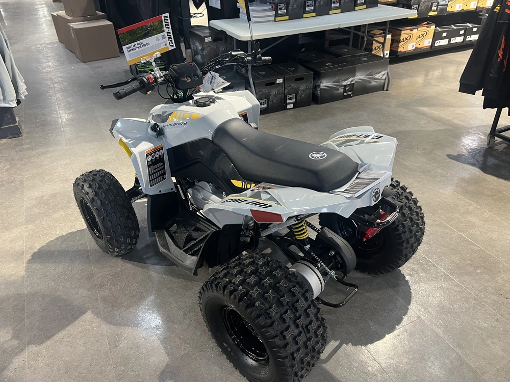 2026 Can-am Renegade 110 Efi