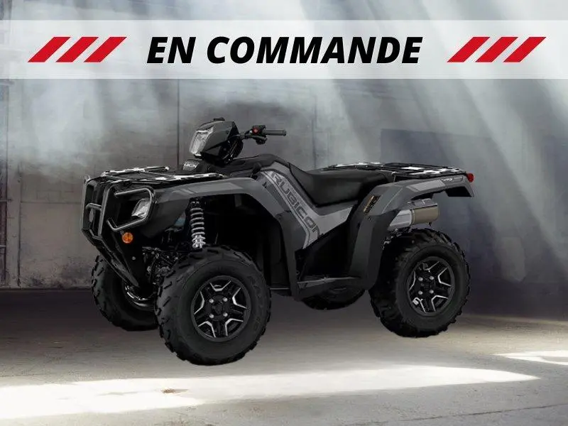 Honda Rubicon 520 Dct Irs Eps Deluxe 2027