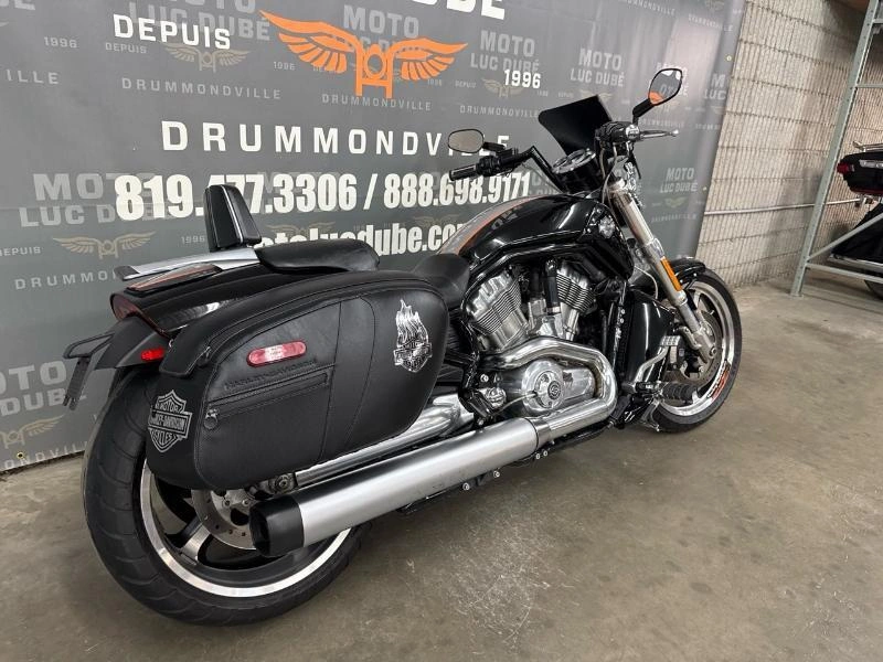 Harley-davidson Vrscf V-rod Muscle 2013