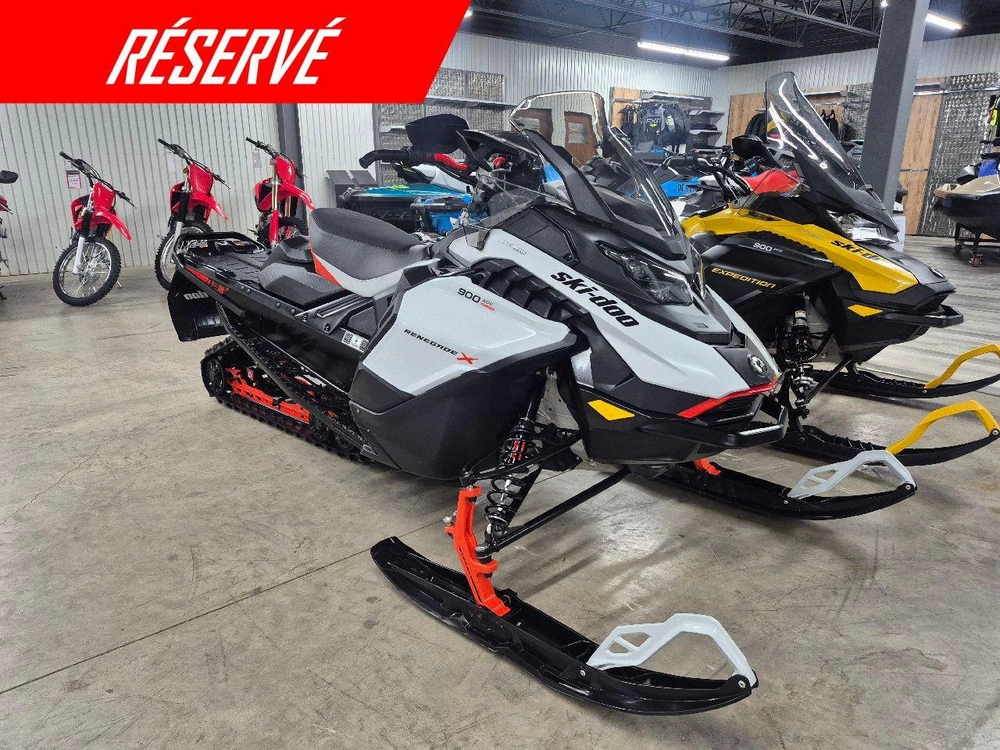 Ski-doo Renegade X 2026