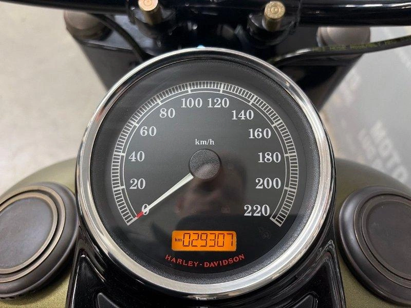 Harley-davidson Flss Slim S 110 2017