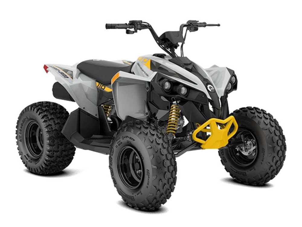 2026 Can-am Renegade 110 Efi