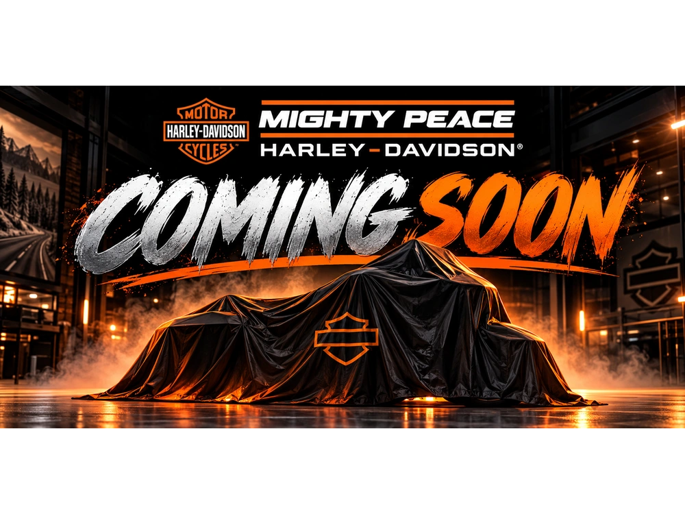 2023 Harley-davidson Softail Standard