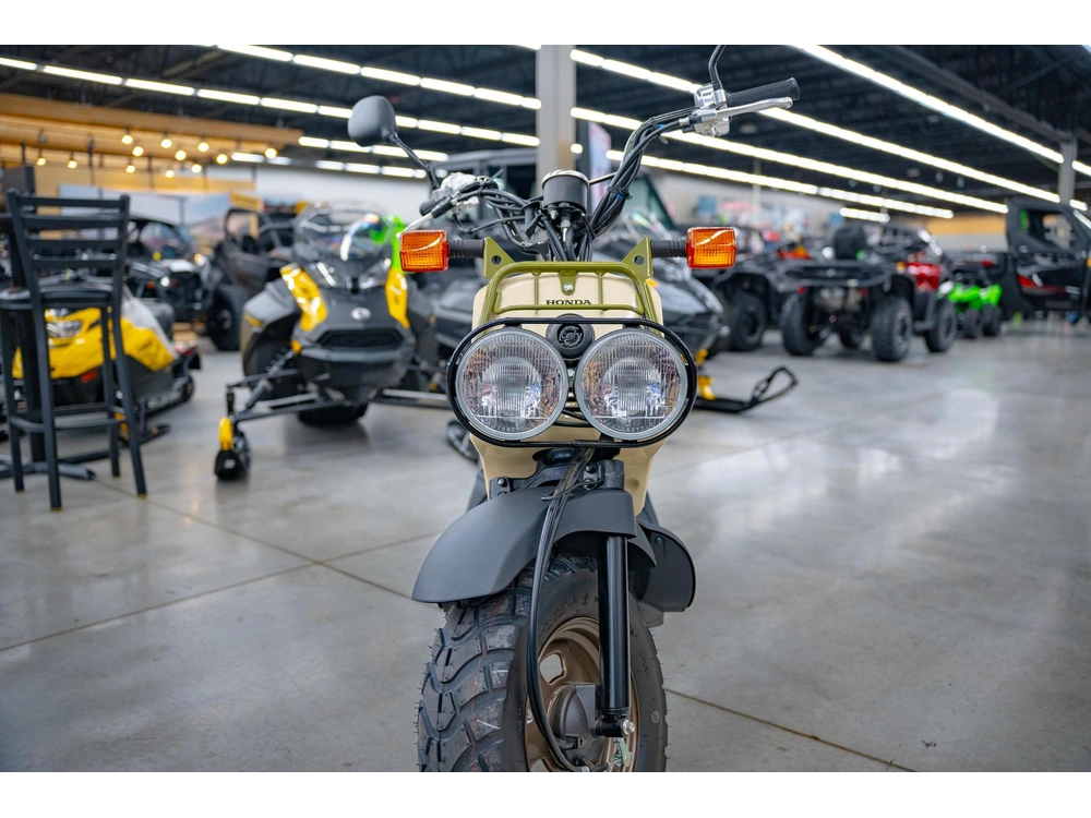 2024 Honda Ruckus