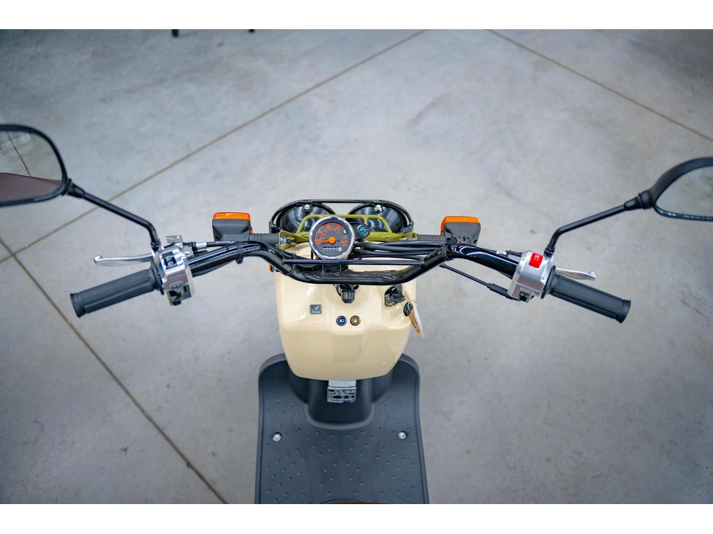 2024 Honda Ruckus